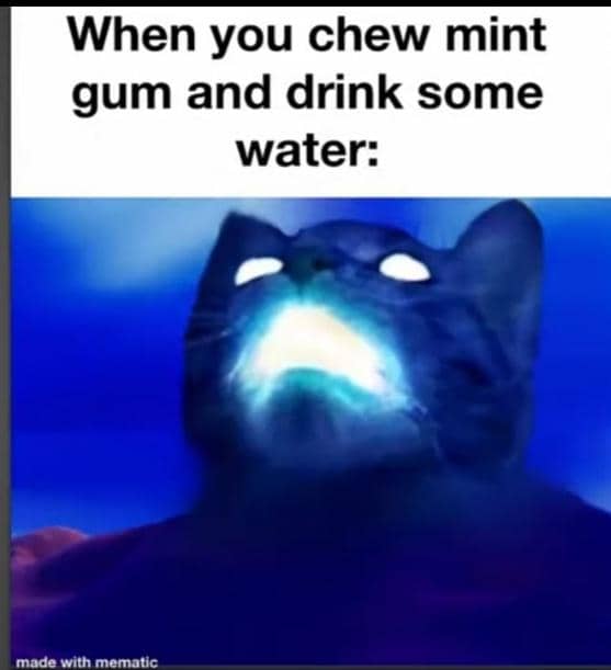 meme kucing tentang es