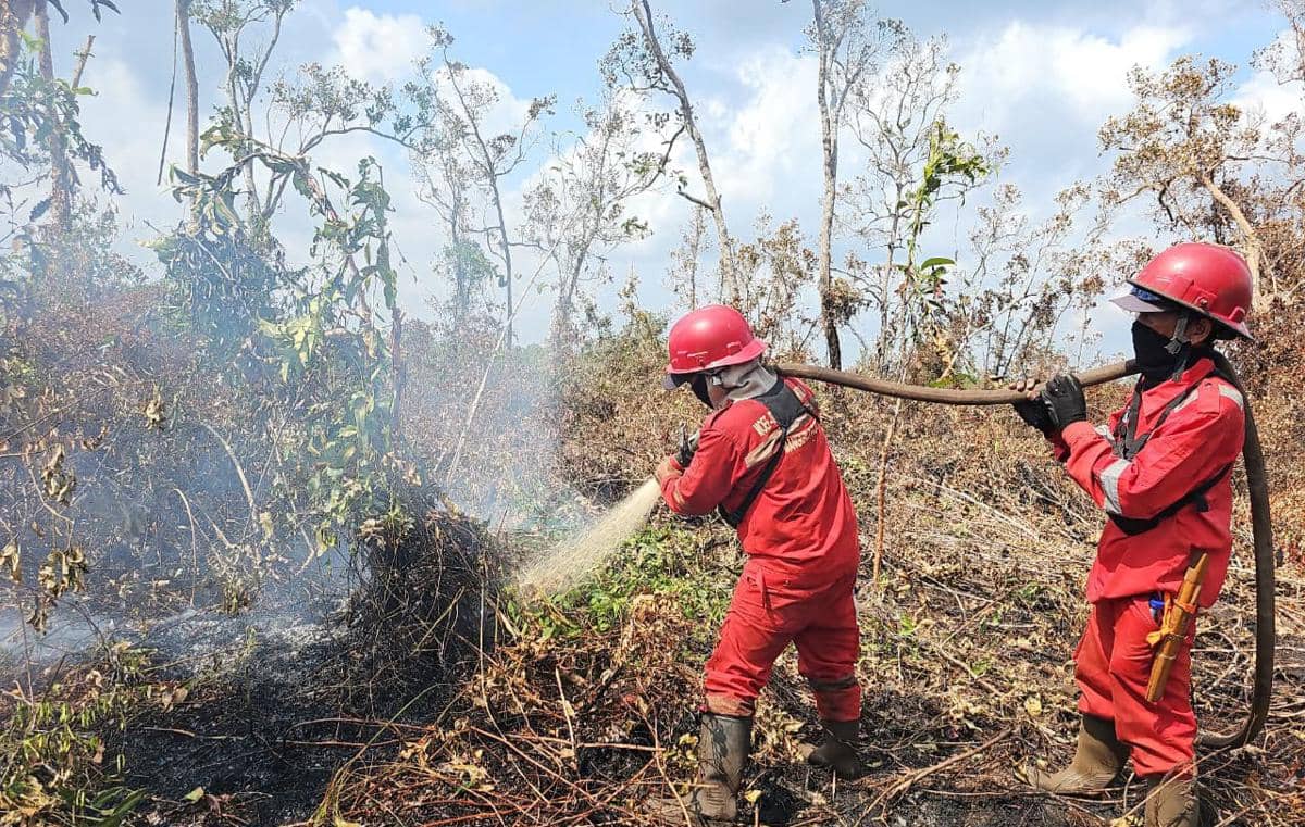 Kebakaran lahan melanda kawasan Tulung Selapan di Ogan Komering Ilir, dengan api dan asap di area terbuka.