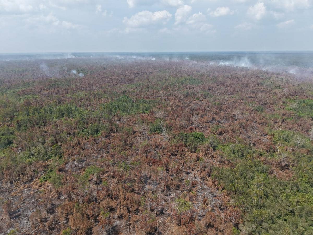 200 Hektare Karhutla di Tulung Selapan Diduga Terjadi di Area HGU