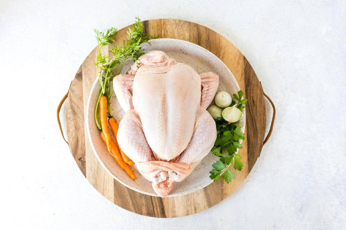 Ilustrasi seekor ayam utuh sebagai bahan makanan yang dapat diolah menjadi beragam hidangan masakan rumahan.