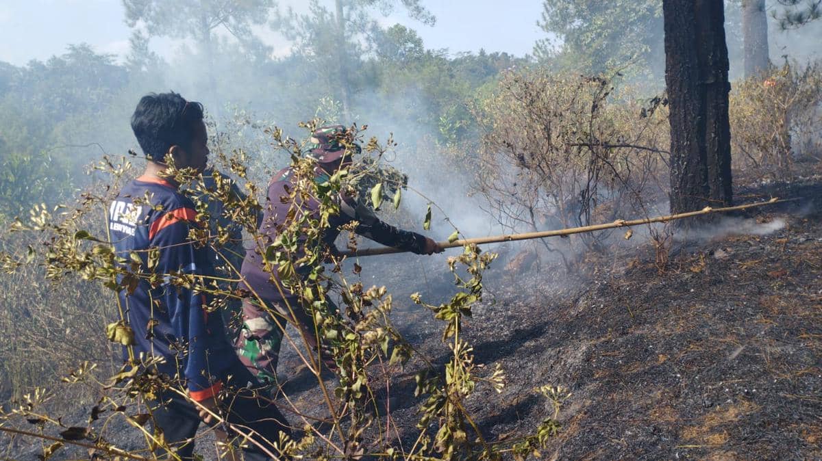 Menko Djamari: 107 Ribu Hektare Lahan Terbakar, El Nino Mengintai RI