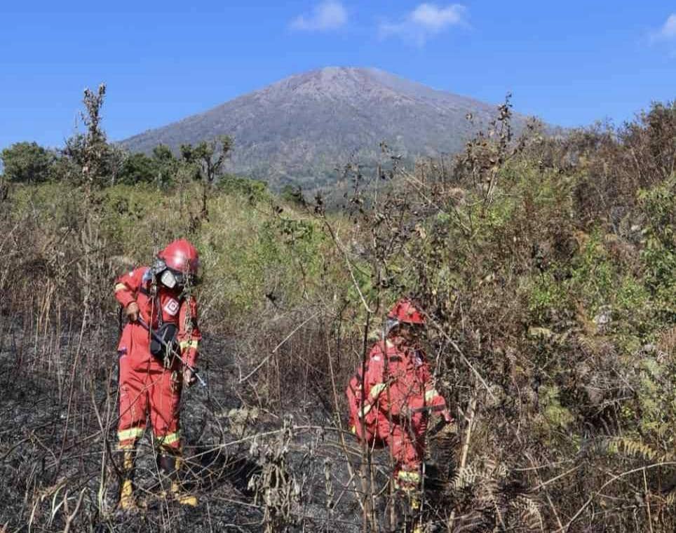 Kemenhut Berhasil Padamkan Kebakaran 30 Hektare di Gunung Rinjani