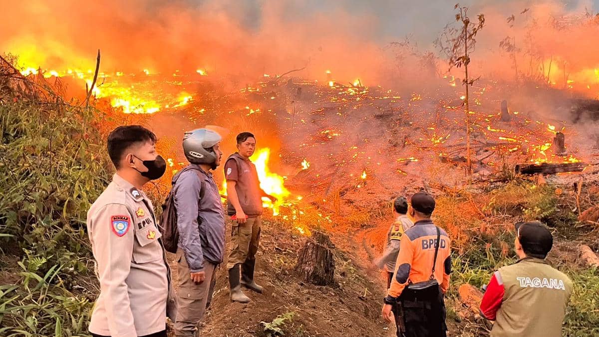 Kebakaran di Sukabumi: 18 Hektare Lahan Perhutani Hangus gegara 'Tangan' Jahil