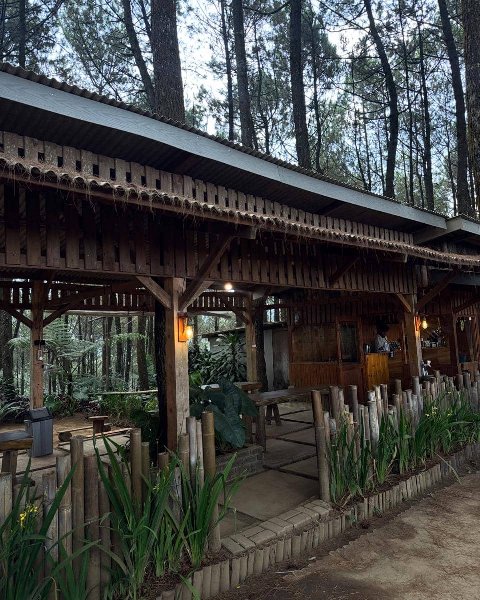Yasmin Napper menikmati liburan di hutan pinus