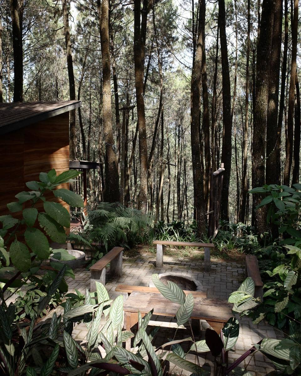 Yasmin Napper menikmati liburan di hutan pinus