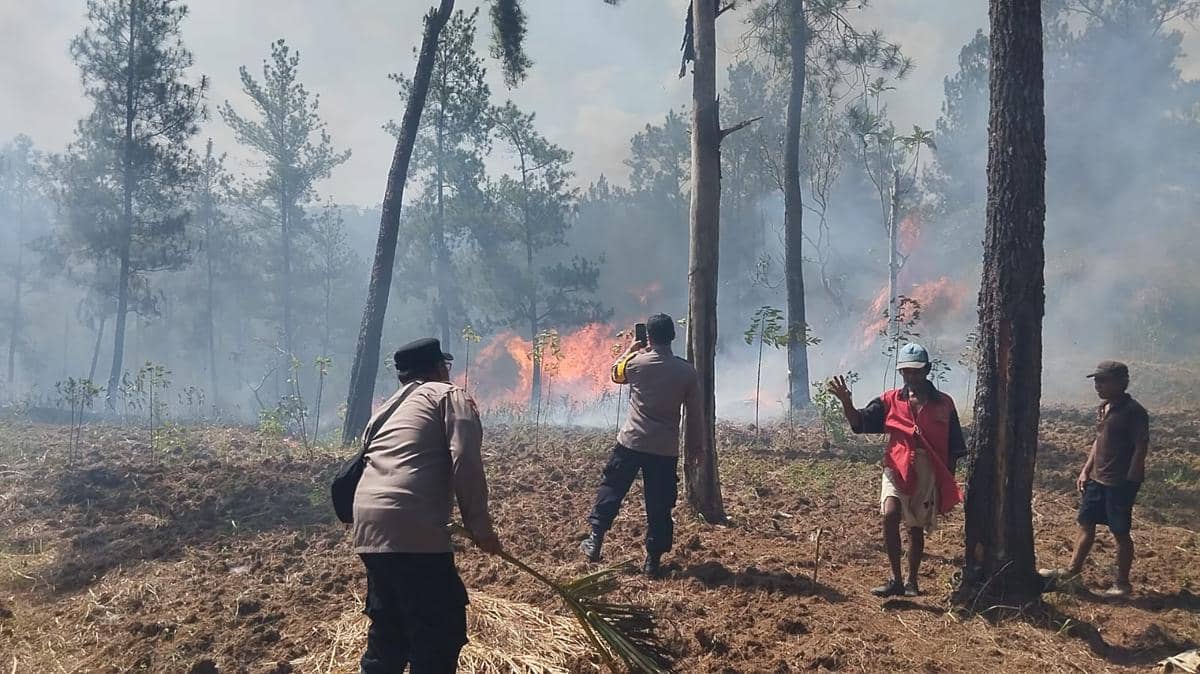Hutan Jampes Banyumas Terbakar, 3 Hektare Lahan Perhutani Hangus