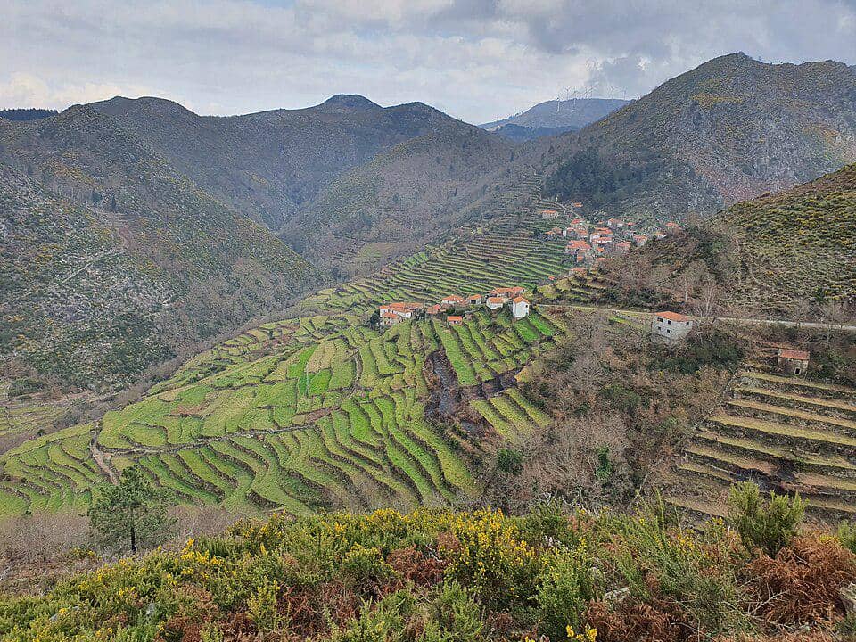 5 Fakta Sistelo, Desa Portugal dengan Sawah Bertingkat yang Mempesona