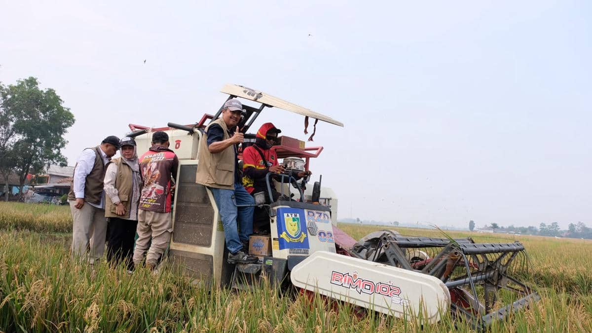Stok Beras BULOG Tembus 5,25 Juta Ton, Tersebar di Seluruh Indonesia