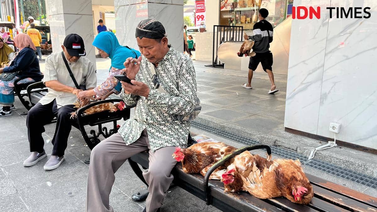 Peternak membagikan ayam kepada warga di kawasan Malioboro, Kota Yogyakarta, pada Senin, 10 Agustus 2026.