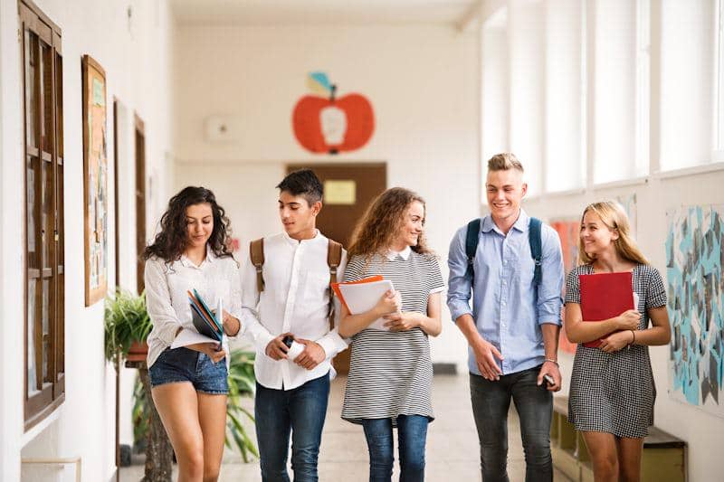 ilustrasi summer school