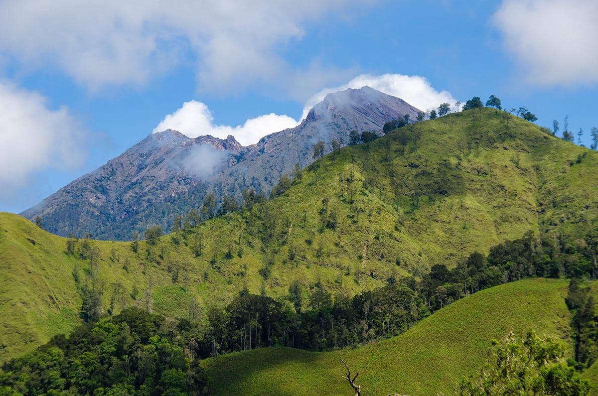 Ilustrasi Bukit Pergasingan di Lombok dengan lanskap perbukitan dan area persawahan dari ketinggian.