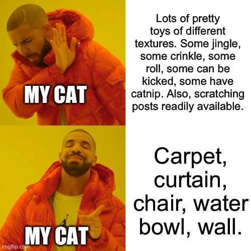 meme kucing dan gorden