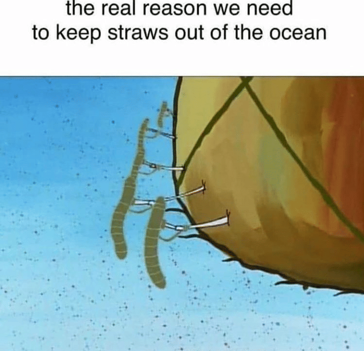 meme rumah SpongeBob