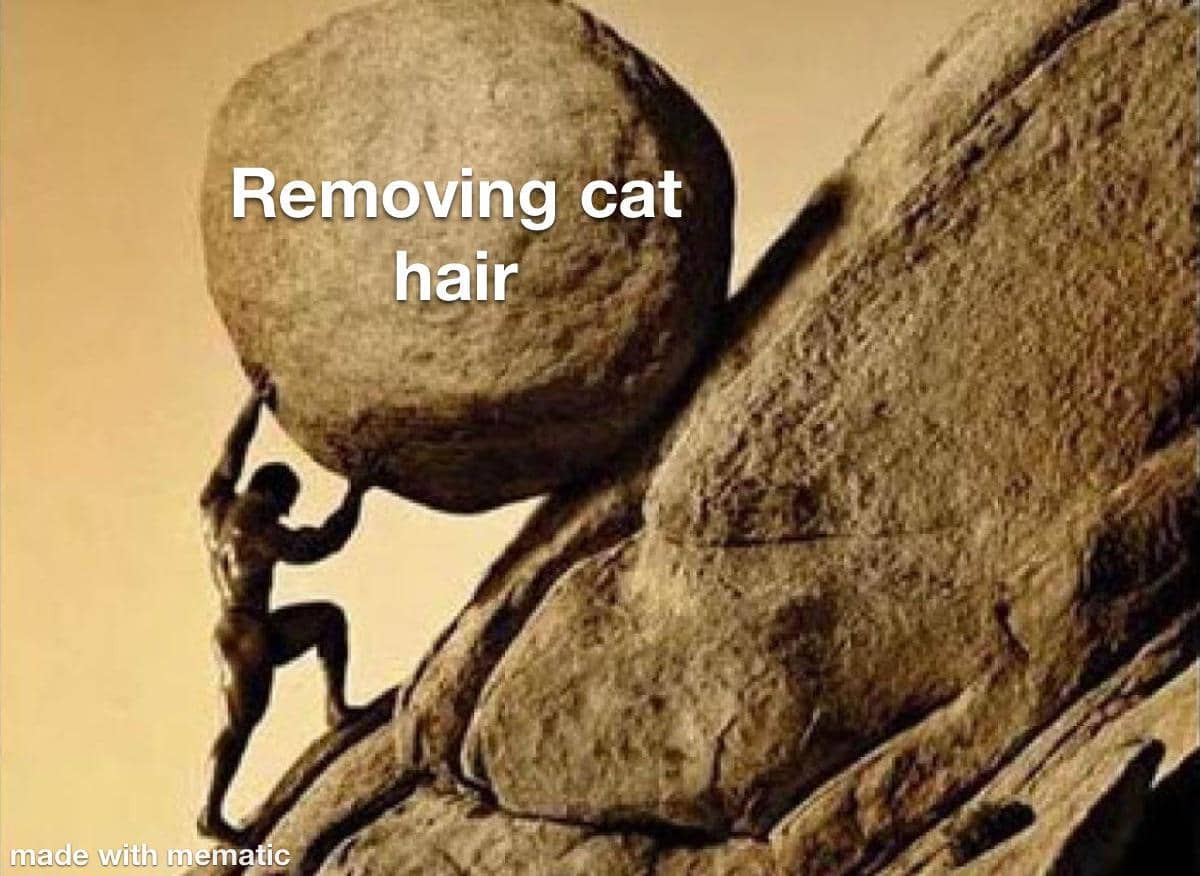 meme kucing tentang kesulitan