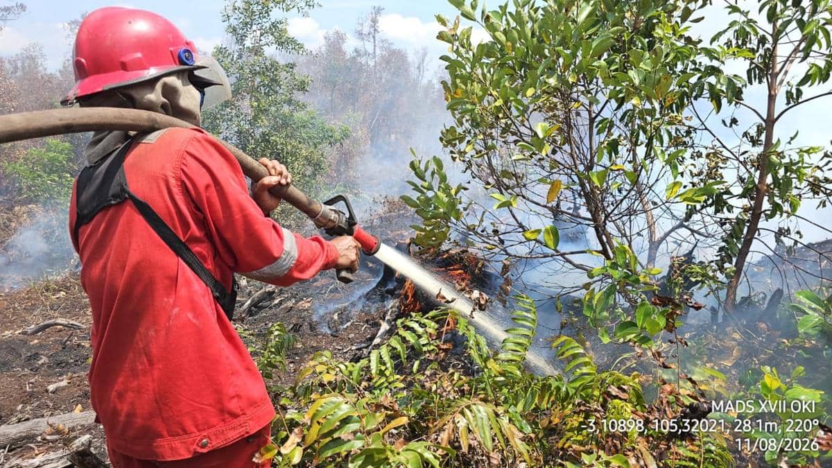 Kebakaran lahan di wilayah Tulung Selapan, Ogan Komering Ilir (OKI) (Dok: Manggala Agni)