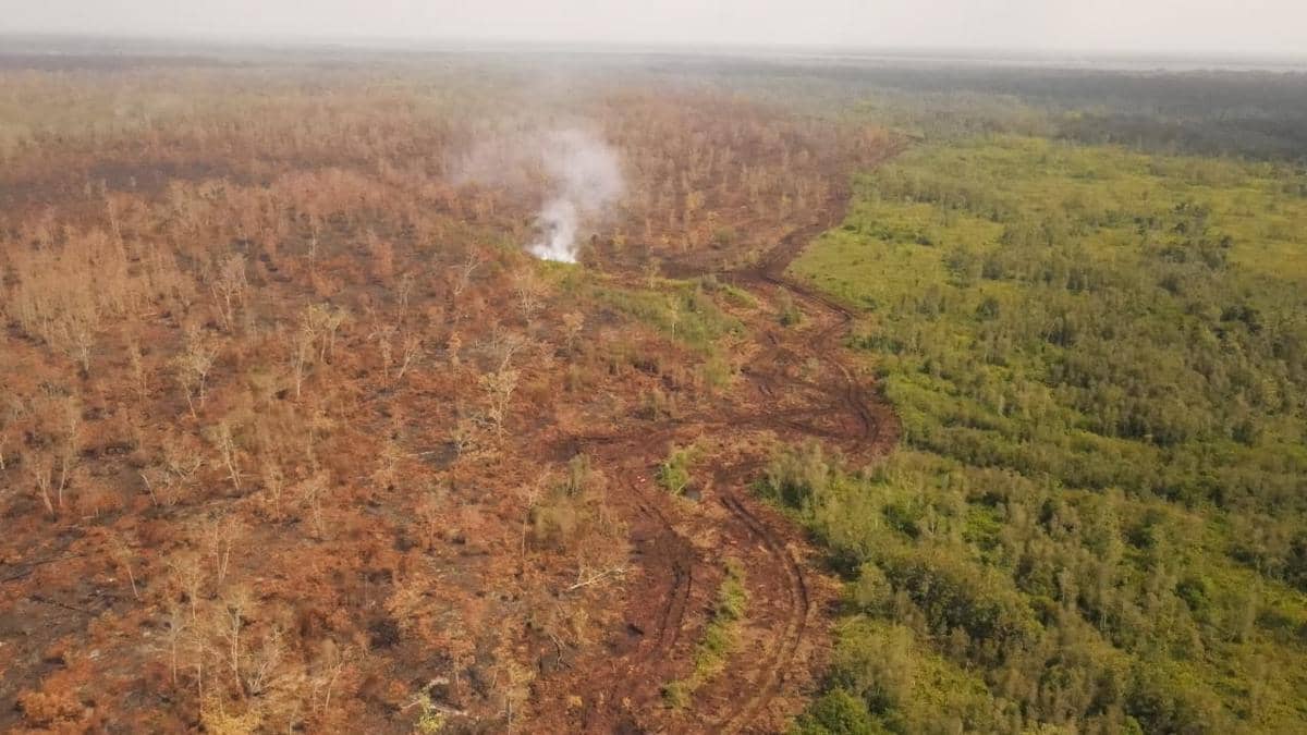 Karhutla 200Ha Hanguskan Gambut di OKI, Perusahaan Terancam Sanksi