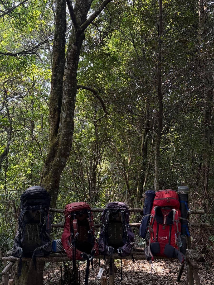 Wendy Walters mendaki Gunung Tambakruyung di Ciwidey