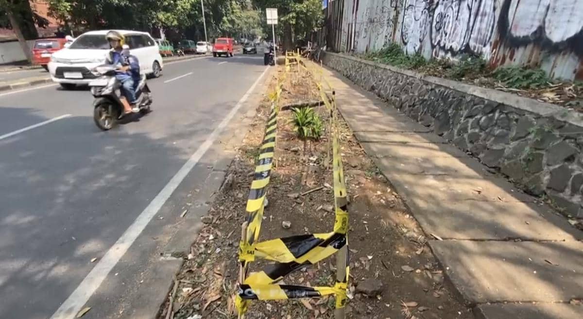 Selain Six Nine, Ternyata Ada Puluhan Pohon Ditebang Ilegal di Bandung
