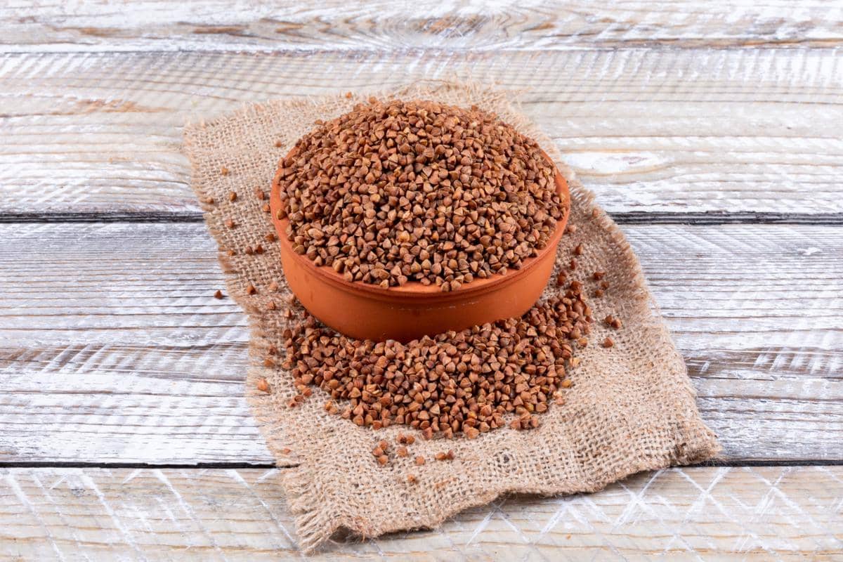 ilustrasi buckwheat