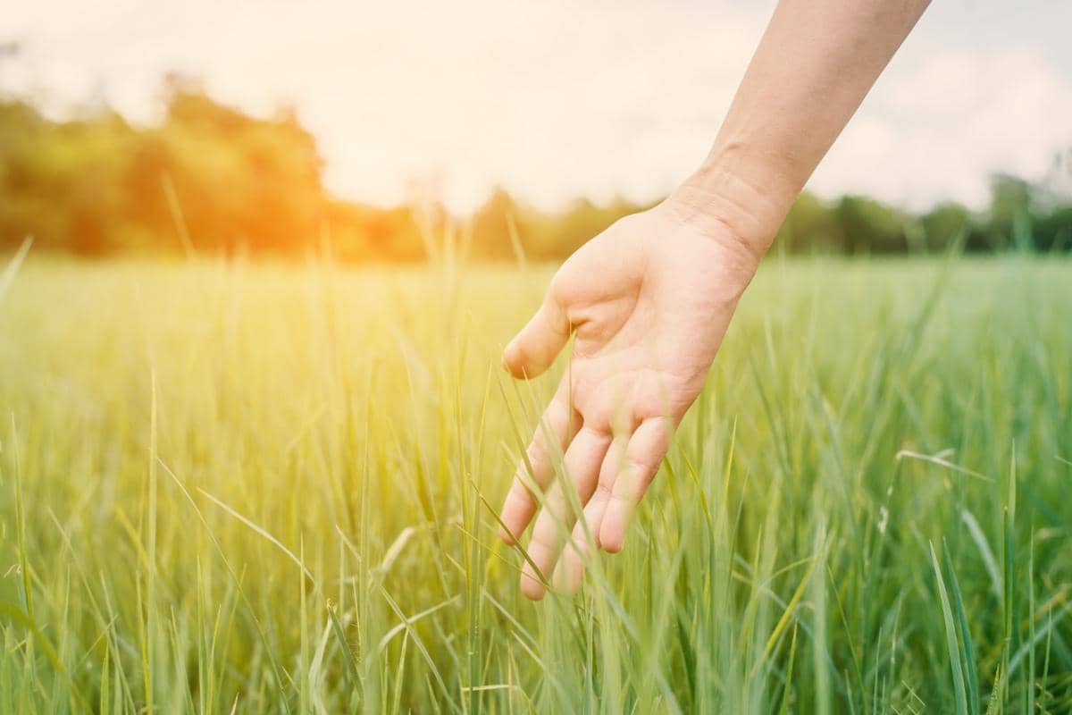 Kenapa Touch Grass Berubah dari Ejekan Internet Menjadi Gaya Hidup?