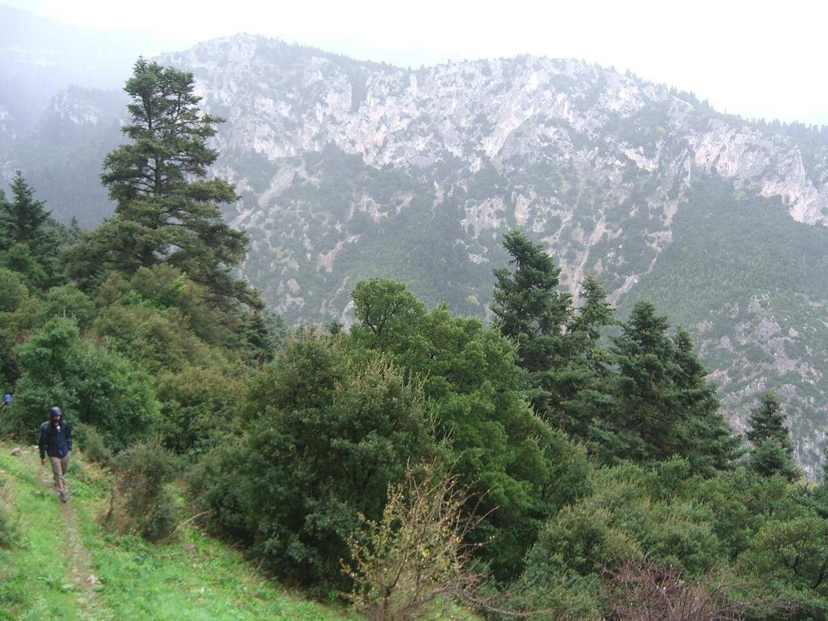 Gunung Parnassus