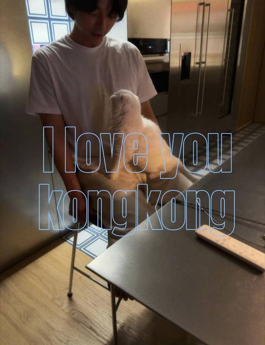 kenangan Gong Yoo dan kucing kesayangannya yang baru meninggal