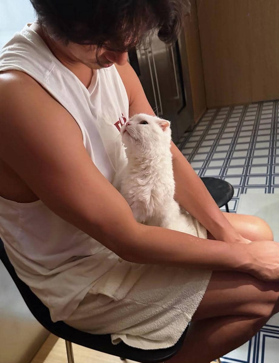 kenangan Gong Yoo dan kucing kesayangannya yang baru meninggal