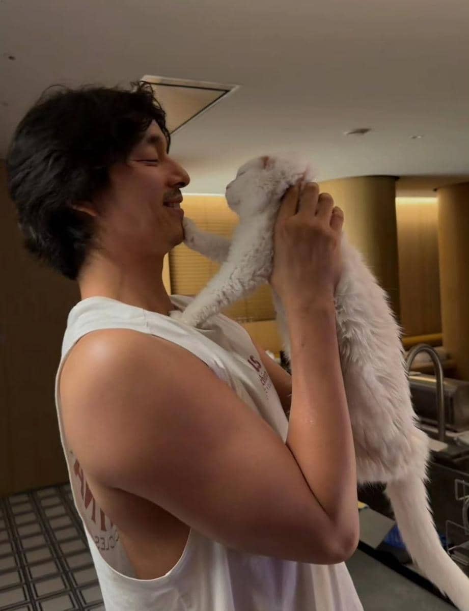 kenangan Gong Yoo dan kucing kesayangannya yang baru meninggal