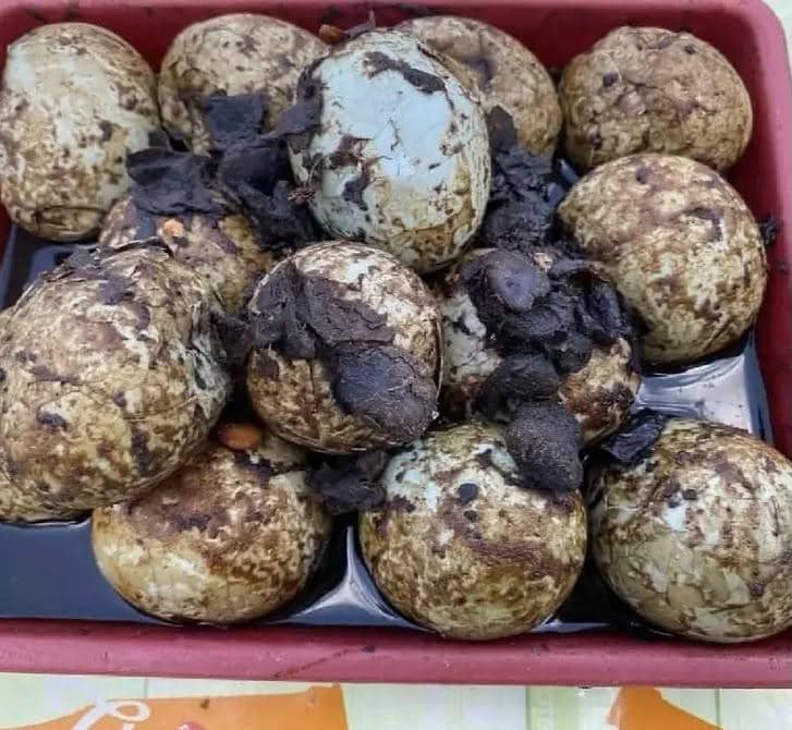Telok pindang, hidangan khas Palembang berbahan telur rebus berbumbu, disajikan dalam kuah cokelat kemerahan.