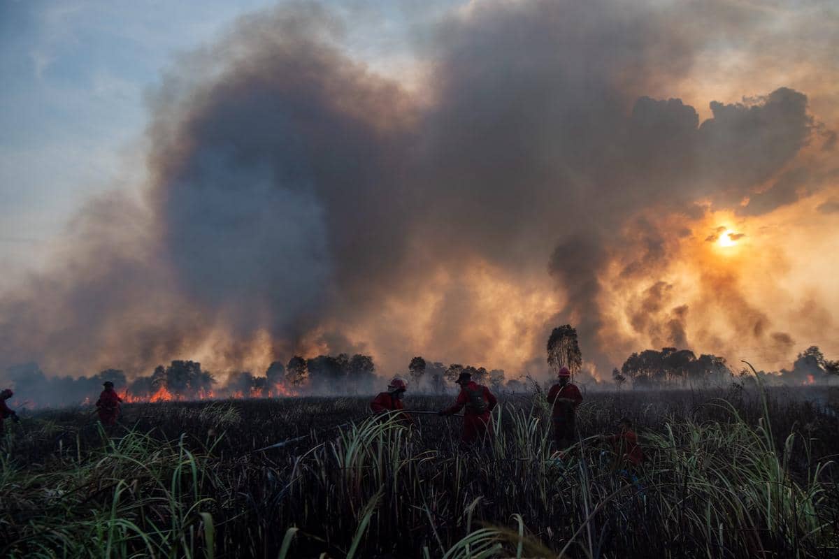Asap tebal membubung dari kebakaran hutan dan lahan yang melanda kawasan Kertapati, Palembang, Sumatera Selatan.