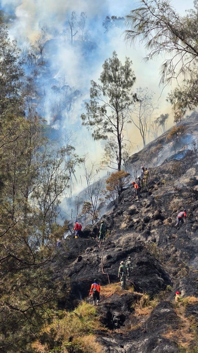 4 Petugas Gugur saat Tangani Karhutla Bromo, BNPB Ucapkan Duka