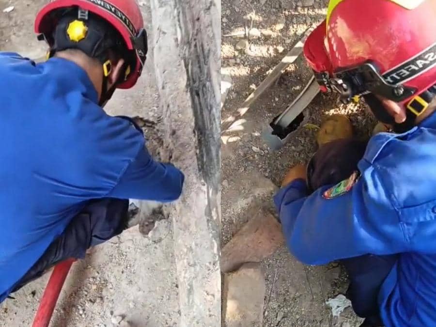 Damkar Lamsel Turun Tangan Cari Cicin Emas Warga di Saluran Air