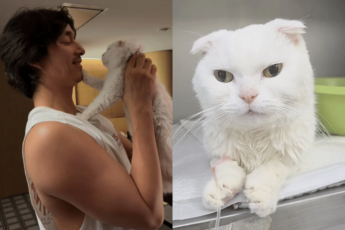 9 Kenangan Gong Yoo dan Kongkong, Kucing Kesayangannya yang Baru Mati