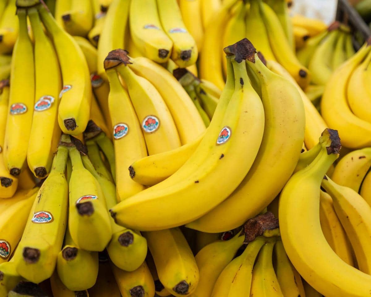 ilustrasi buah pisang