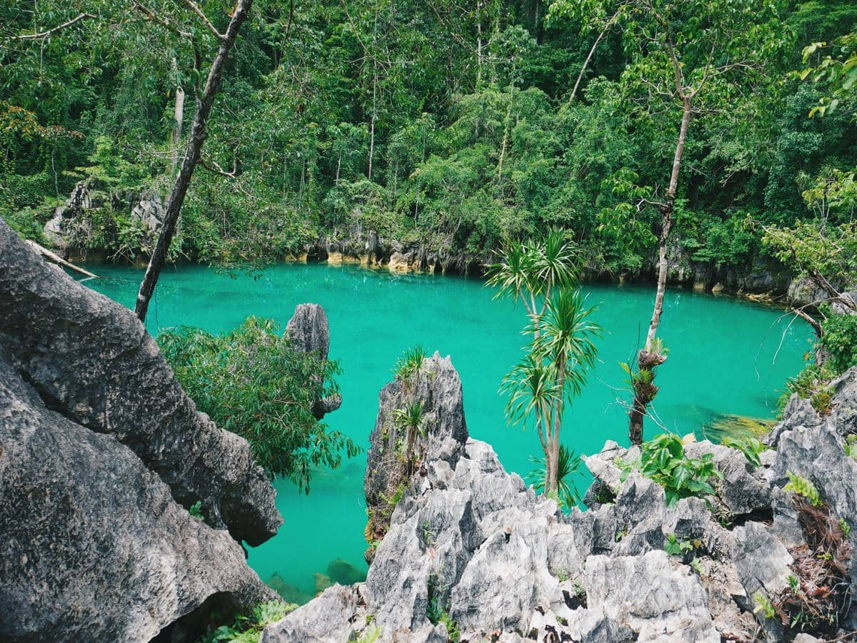 ilustrasi Pulau Sulawesi