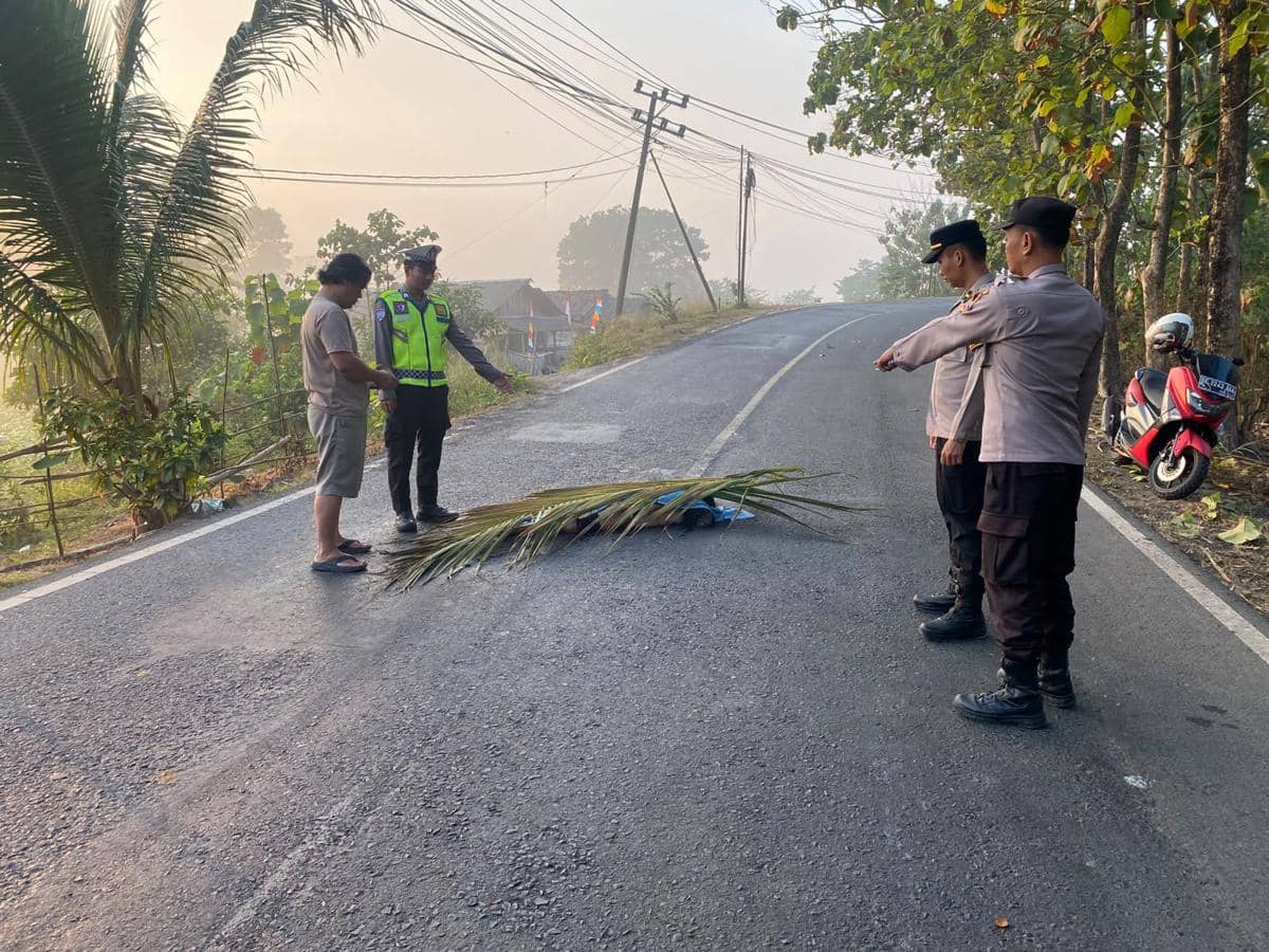 Pejalan Kaki di Tulang Bawang Tewas, Korban Tabrak Lari