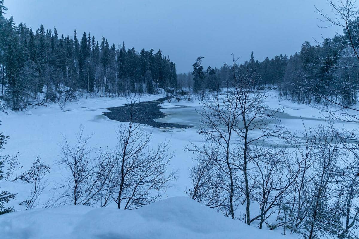 ilustrasi Oulanka National Park