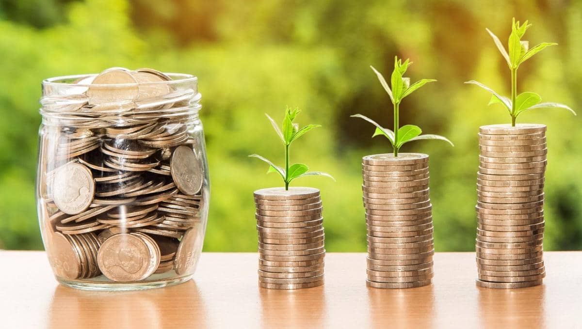 Tumpukan koin dan tanaman yang menggambarkan pertumbuhan investasi.