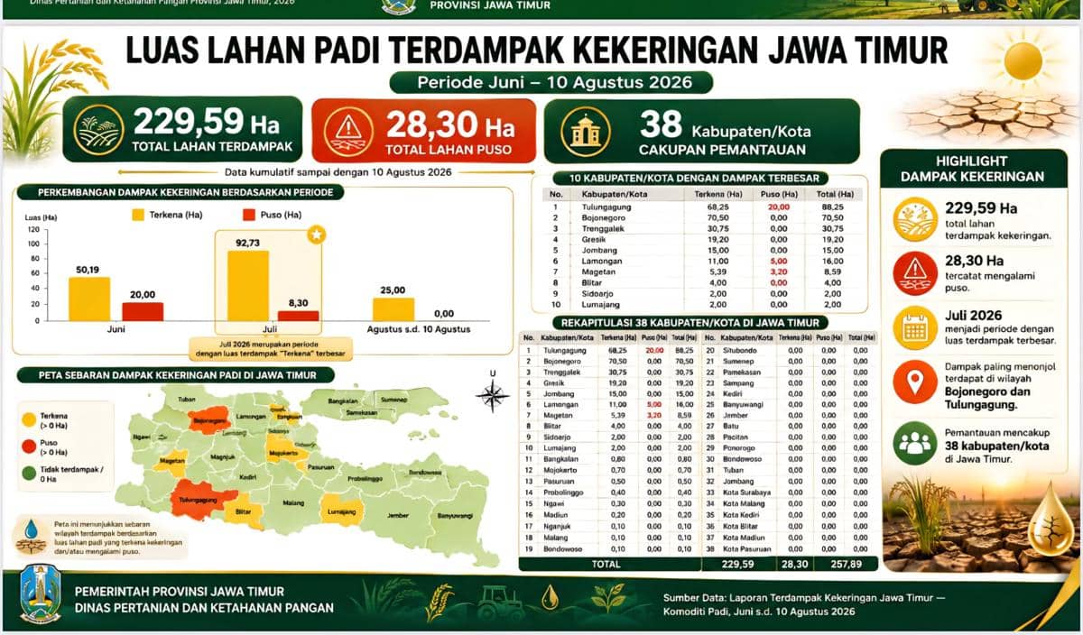 Kekeringan: 28 Hektare Sawah Jatim Gagal Panen, Tulungagung Terparah