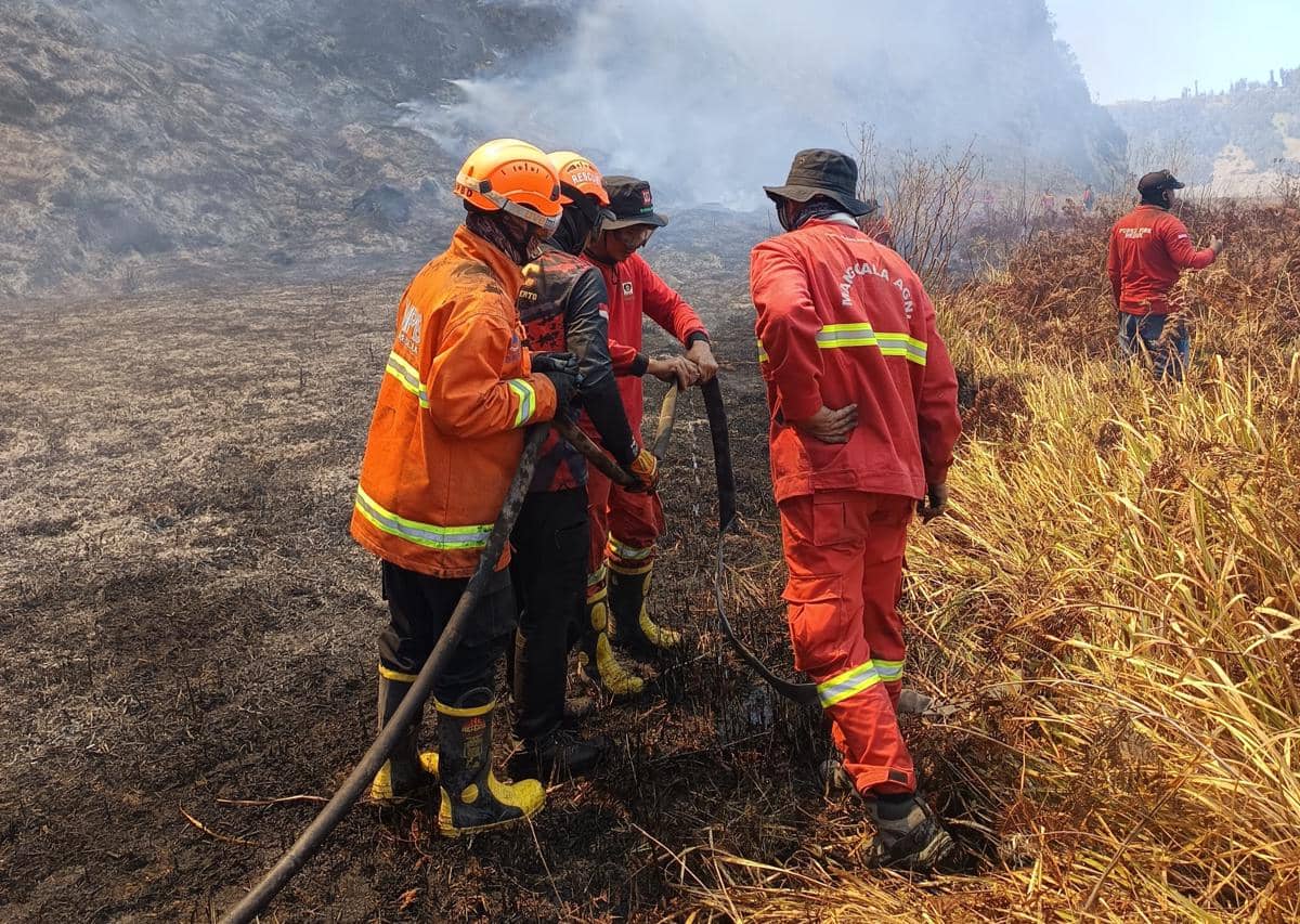 Karhutla Capai 921 Hektare, Puncak Seruni Point Bromo Ditutup