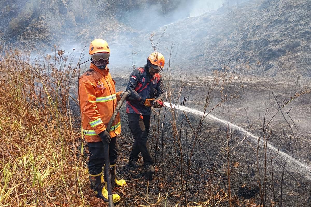 Petugas BPBD Jawa Timur menyemprotkan air untuk memadamkan kebakaran lahan di kawasan Gunung Bromo yang terbakar.