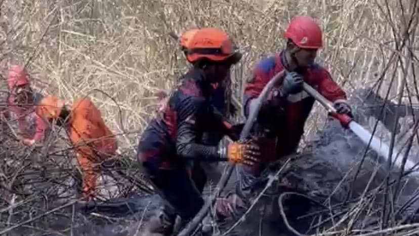 Misi Padamkan Api Bromo, Damkar Surabaya Terperosok di Lautan Pasir