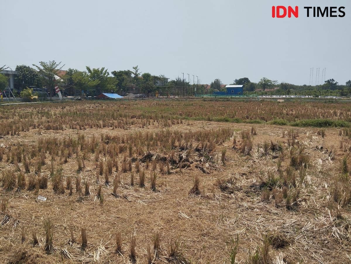 Cuaca panas di Kota Semarang. (IDN Times/Dhana Kencana)