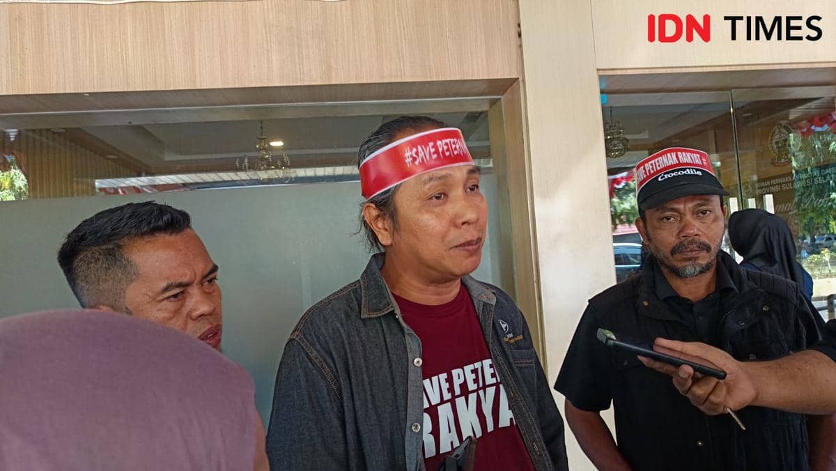 Harga Telur Anjlok, Peternak Sulsel Sebut Ayam Overpopulasi 30 Persen