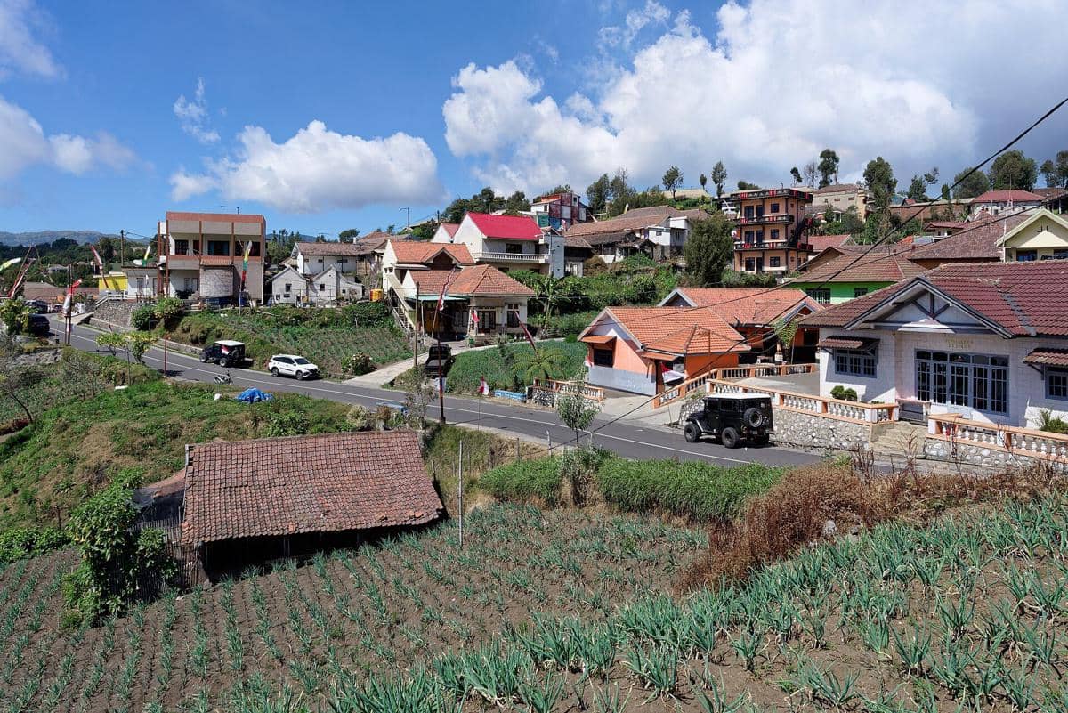 Potret Desa Ngadisari