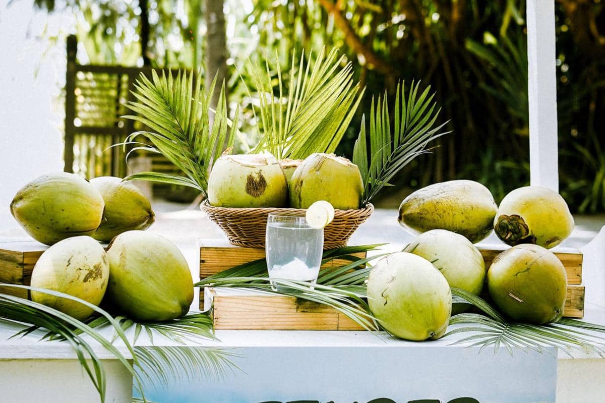 Air Kelapa Bisa Menetralkan Racun dalam Tubuh? Ini Faktanya