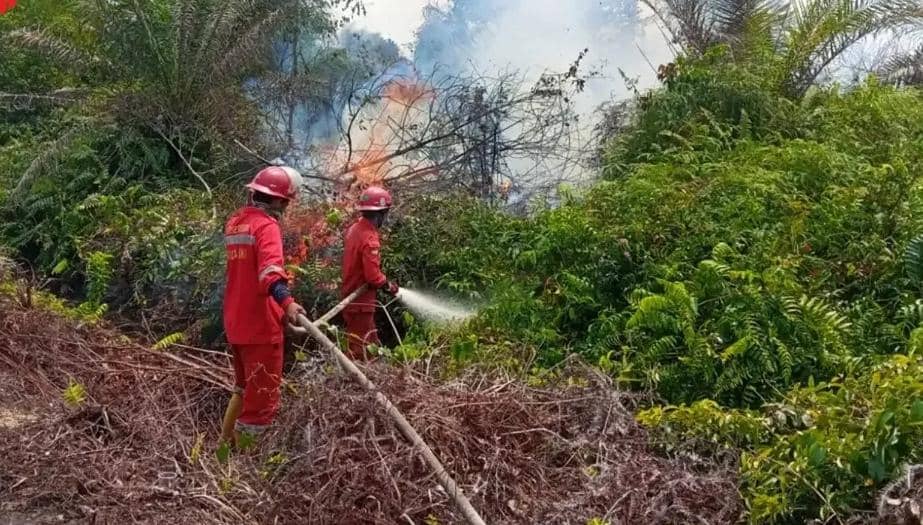 Petugas Manggala Agni melakukan pemadaman kebakaran di Muara Medak di tengah lahan yang dipenuhi asap.