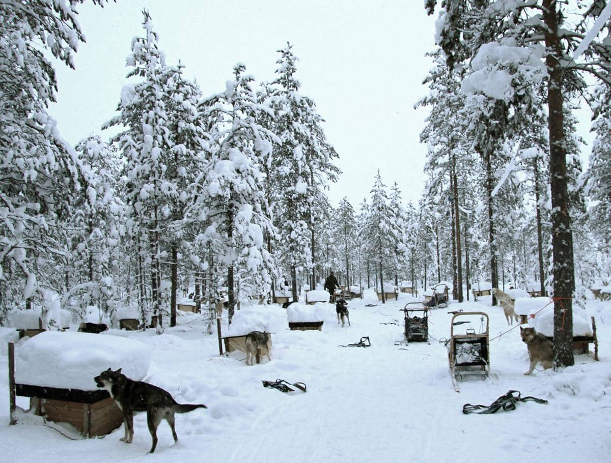 ilustrasi Hossa National Park