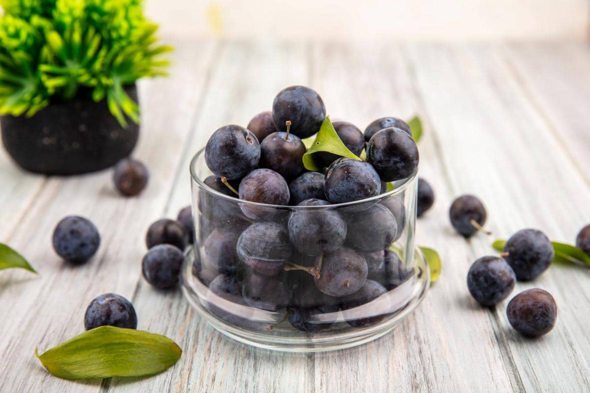 ilustrasi nutrisi acai berry