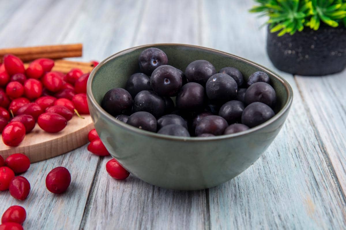 ilustrasi acai berry dalam wadah